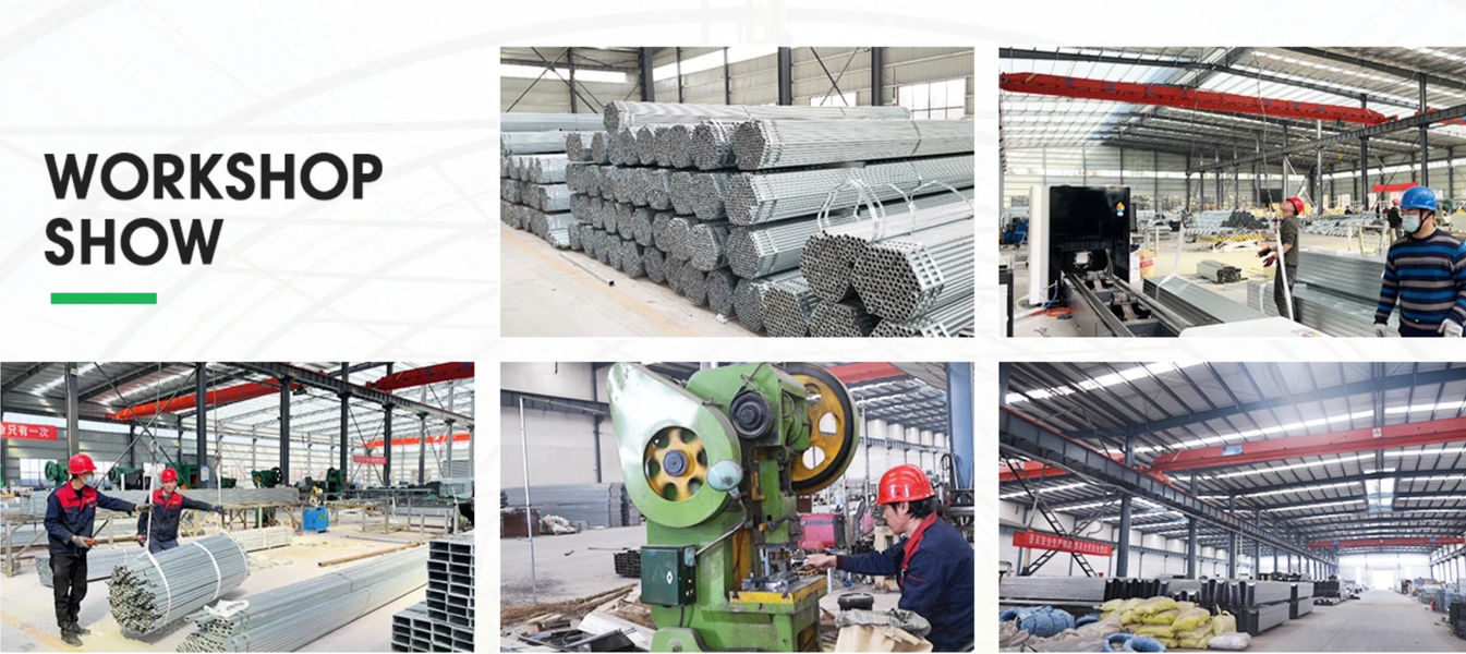 Shandong Lisent Agricultural Technology Co., Ltd. linha de produção do fabricante
